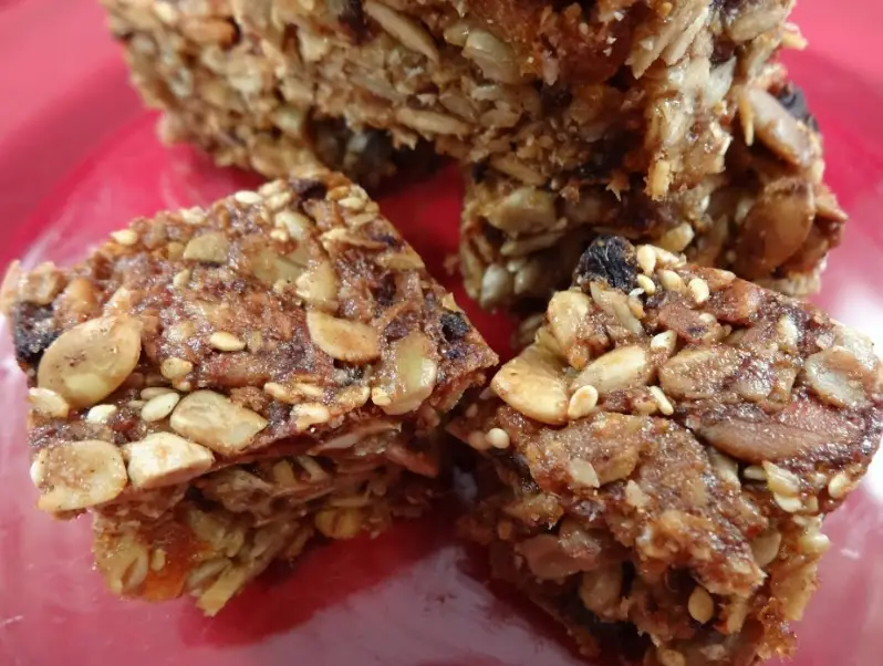 Chewy Nutty Squirrel Bars