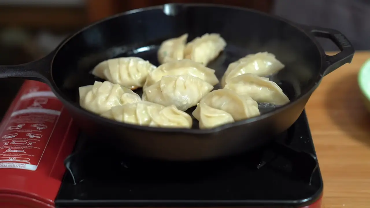 Pan-Fried Chicken Dumplings