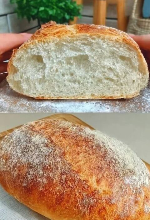 kneading, No eggs, No butter! The easiest and cheapest bread recipe.